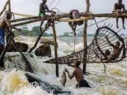 Mosenngo 