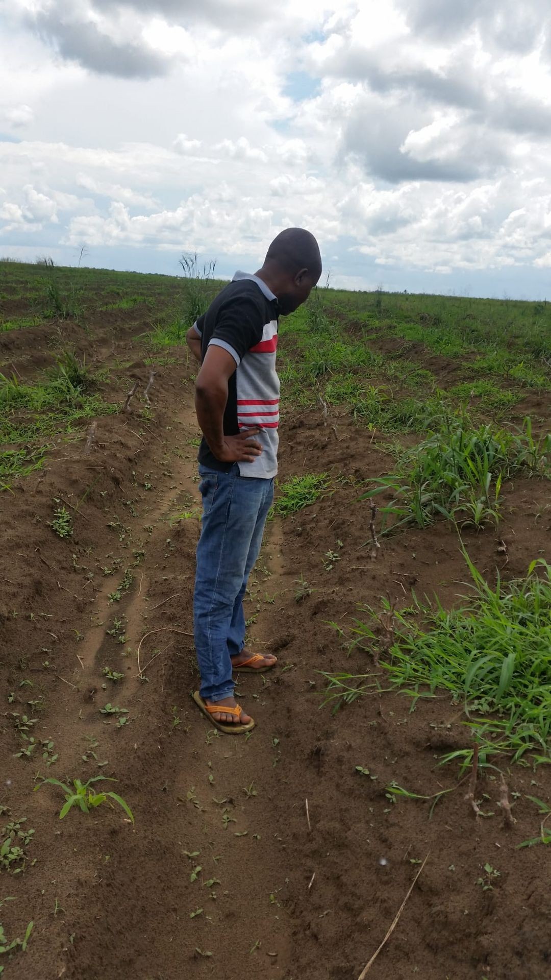 Agriculture communautaire 